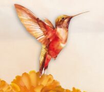 Festival de las Almas Valle de Bravo